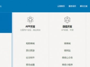 上海金融軟件定制開發 專業服務，實地考察助推項目落地